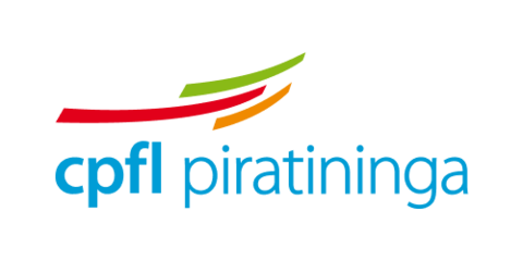 Texto alternativo Consulta detalhada